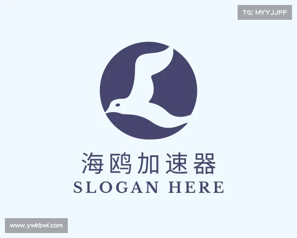 发现海鸥加速器